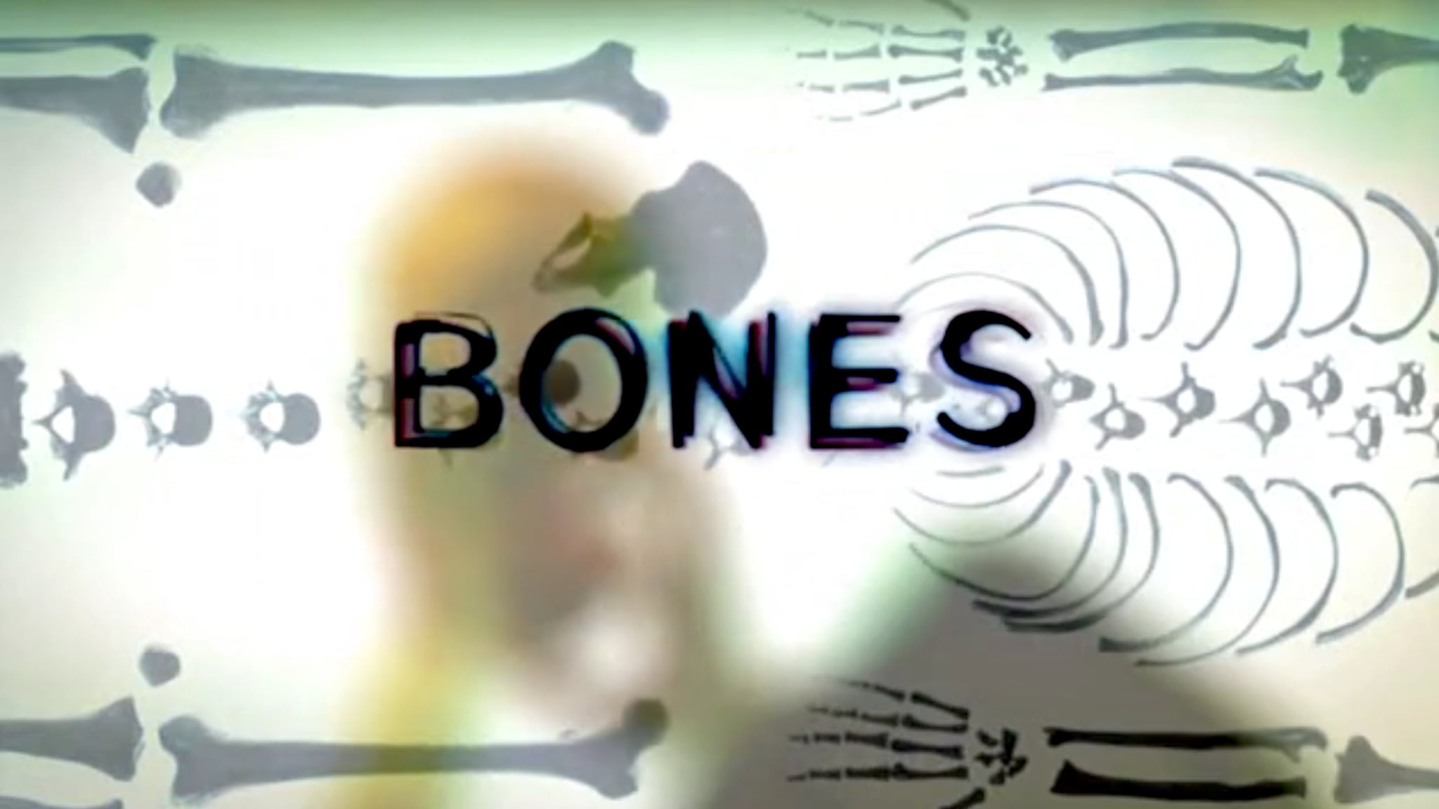 Bones XII ep.11