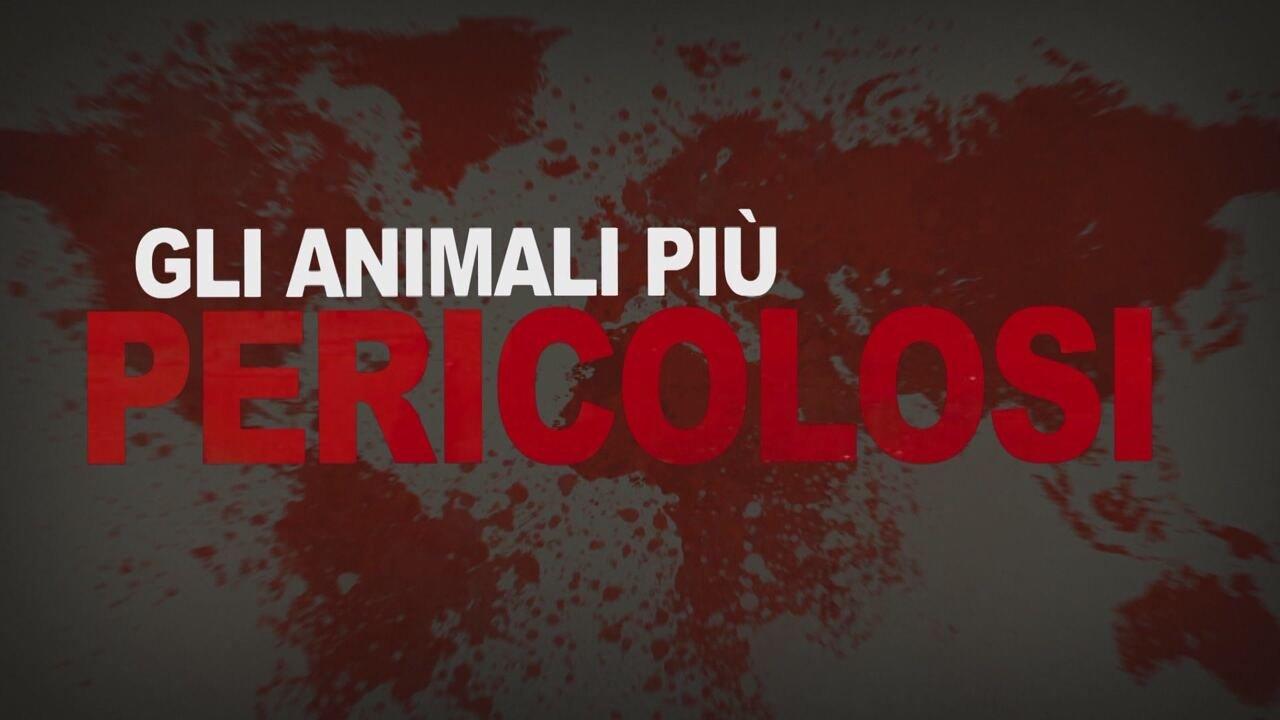 S2 Ep1 - Gli animali piu' pericolosi