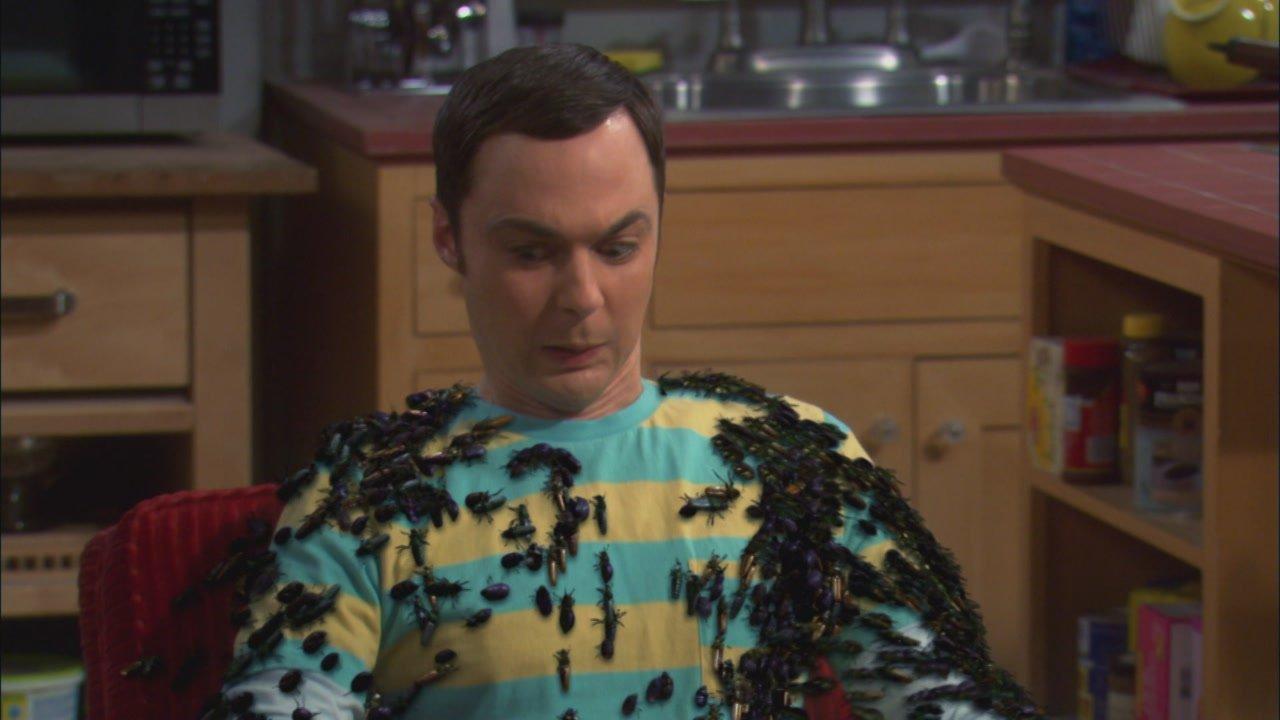 S5 Ep2 - Big Bang Theory