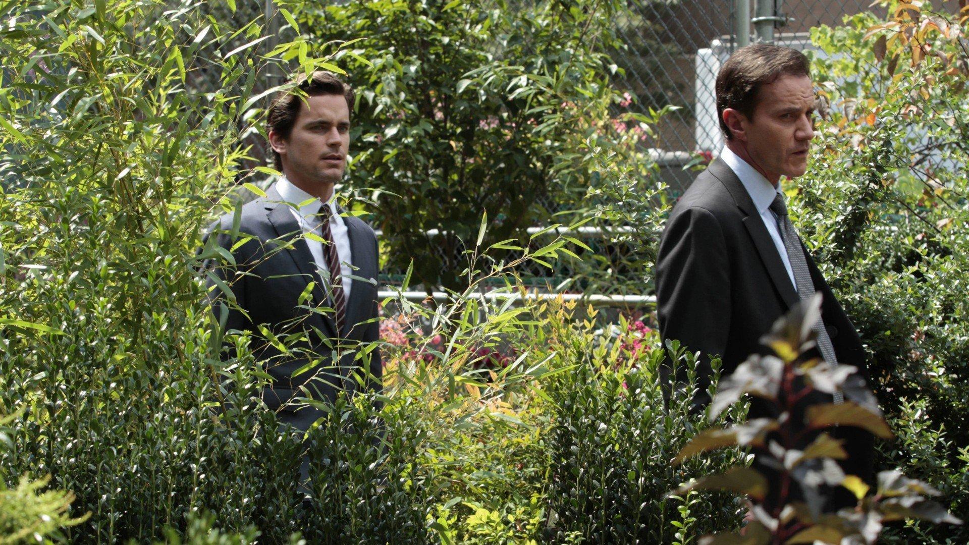 S5 Ep9 - White Collar