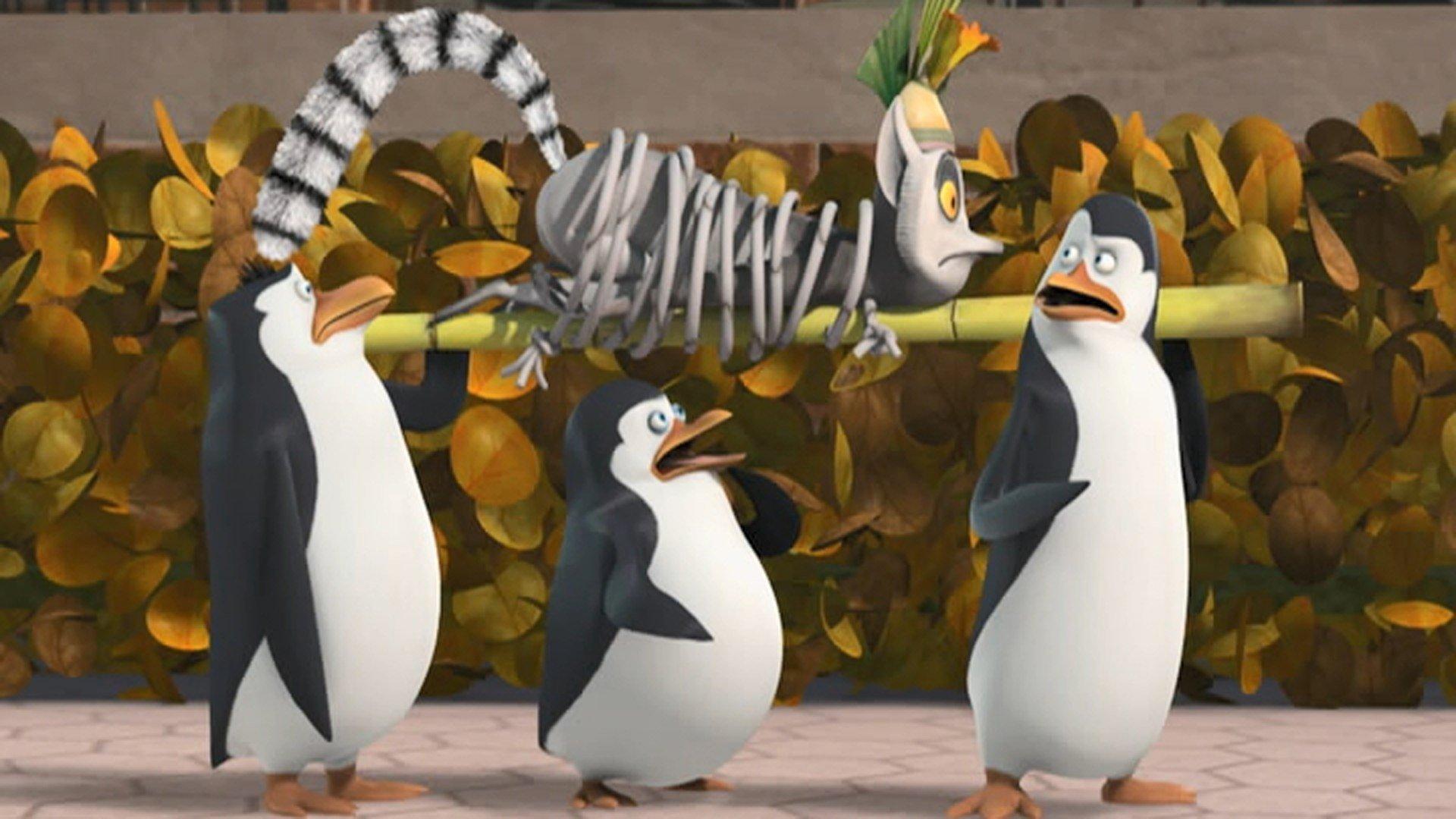 S1 Ep10 - I Pinguini di Madagascar