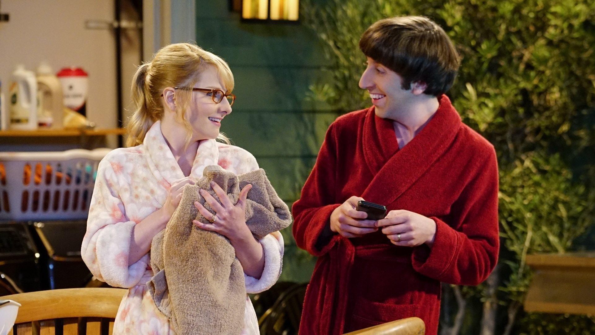 S9 Ep15 - Big Bang Theory