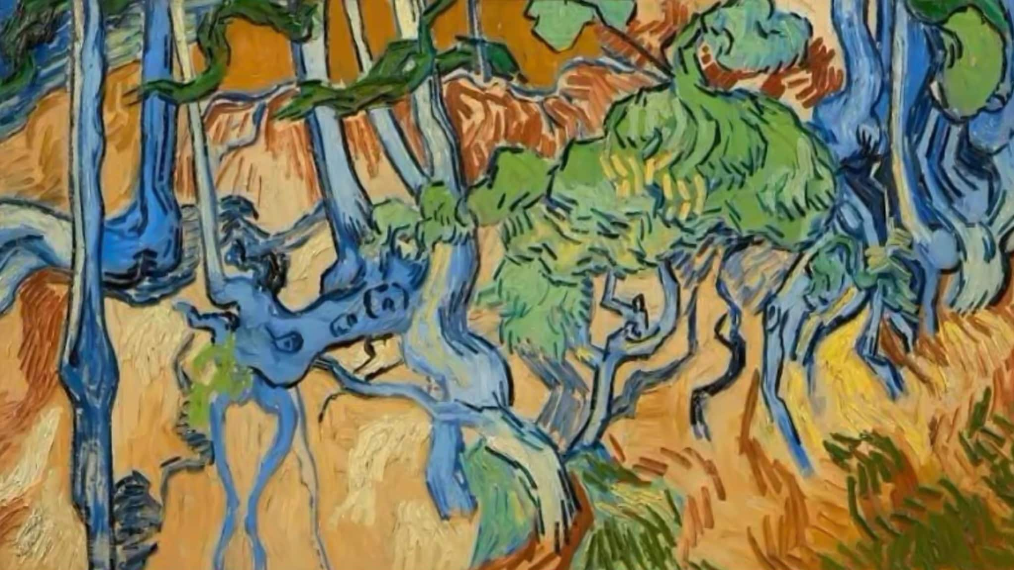 Il mistero dell'ultimo Van Gogh