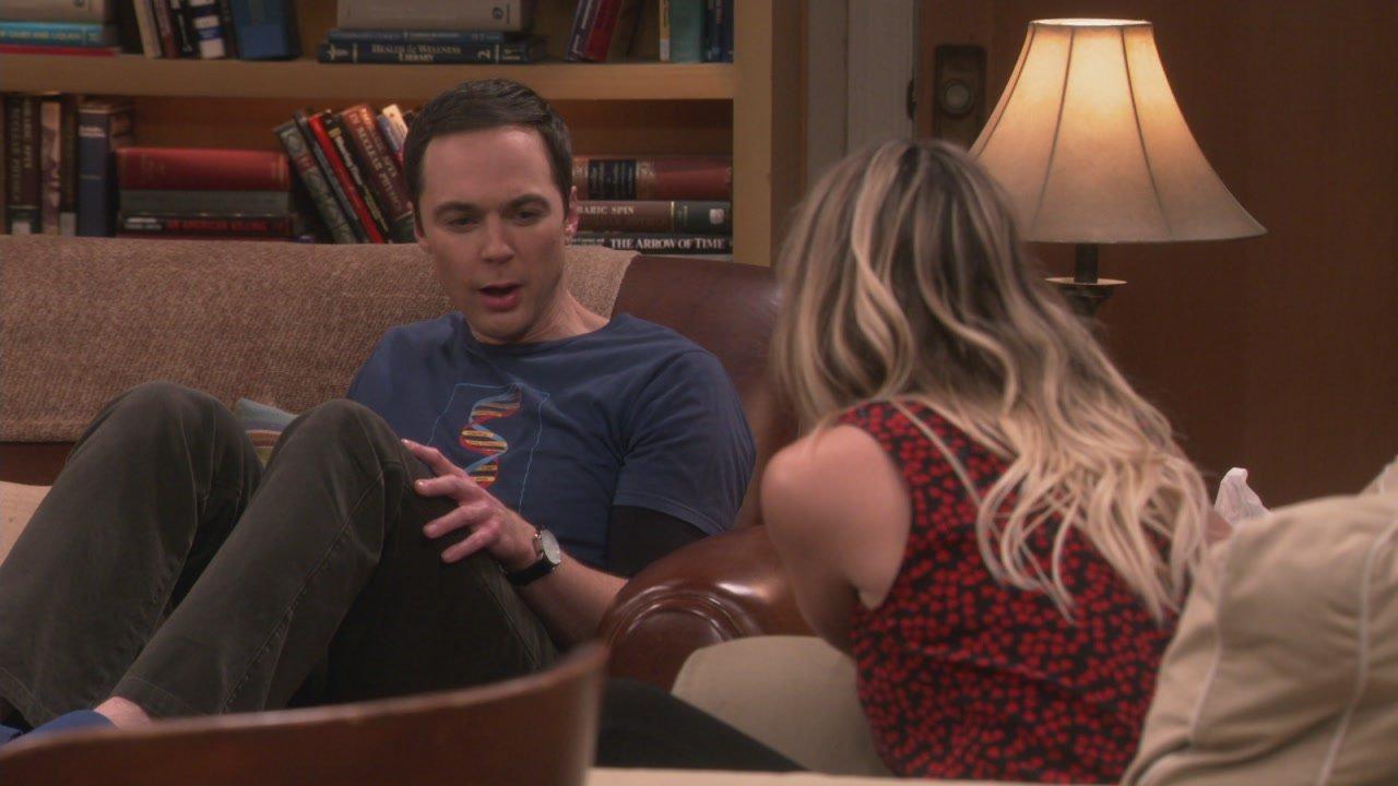 S10 Ep9 - Big Bang Theory