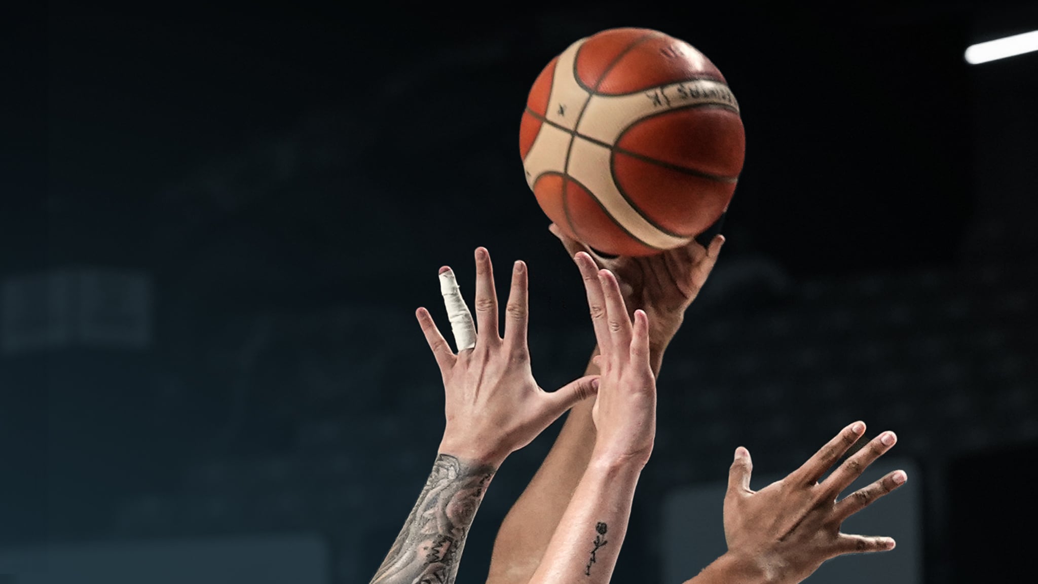 Pallacanestro. EuroLega Donne: Schio-Landes