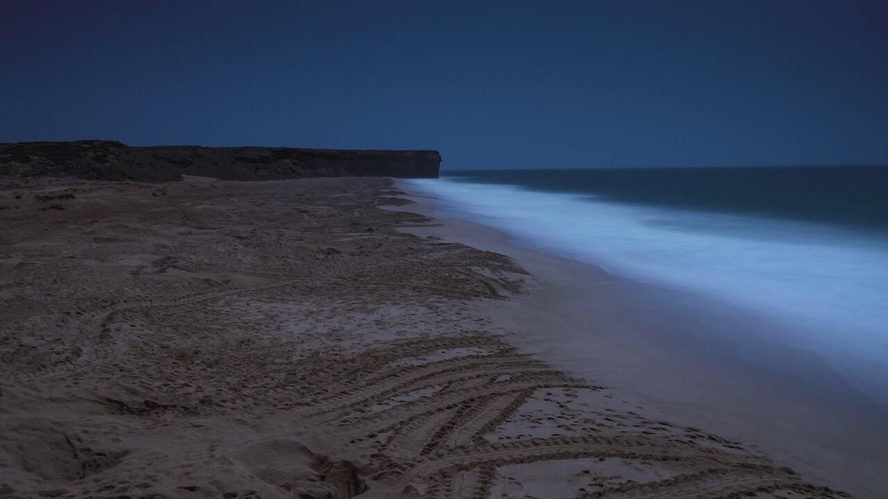 S1 Ep1 - Oman: Meraviglie naturali d'Arabia