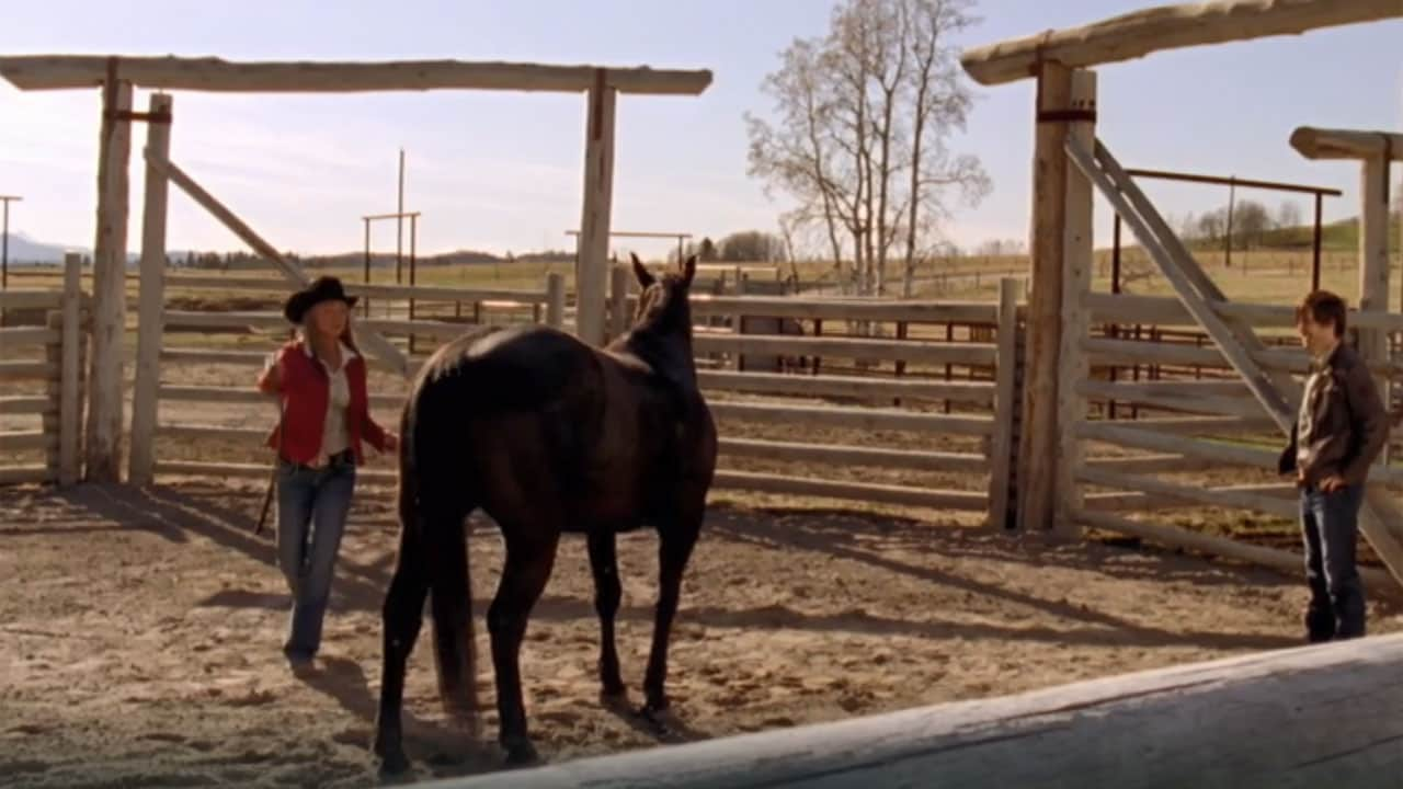 Heartland S5E1 - In cerca di libertà