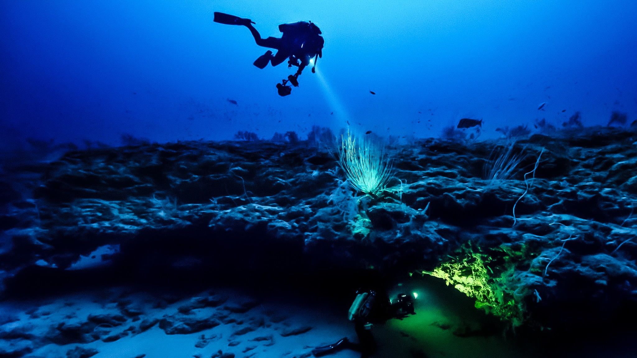 Il fuoco del Mediterraneo