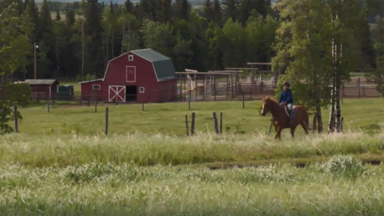 Heartland S6E3 - Cowboy della domenica