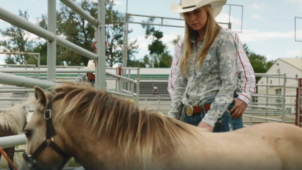 Heartland S6E8 - Cavalli in miniatura