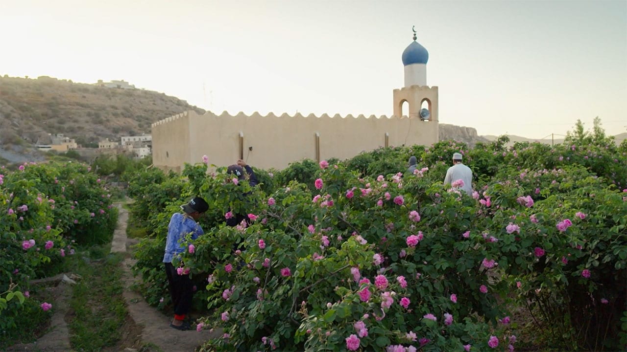 Oasi - S1E3 - Oman - I giardini sospesi del Jebel Akhdar