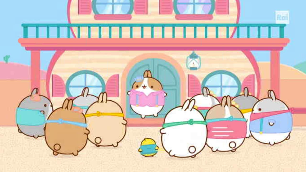 Molang 5 EP. 28