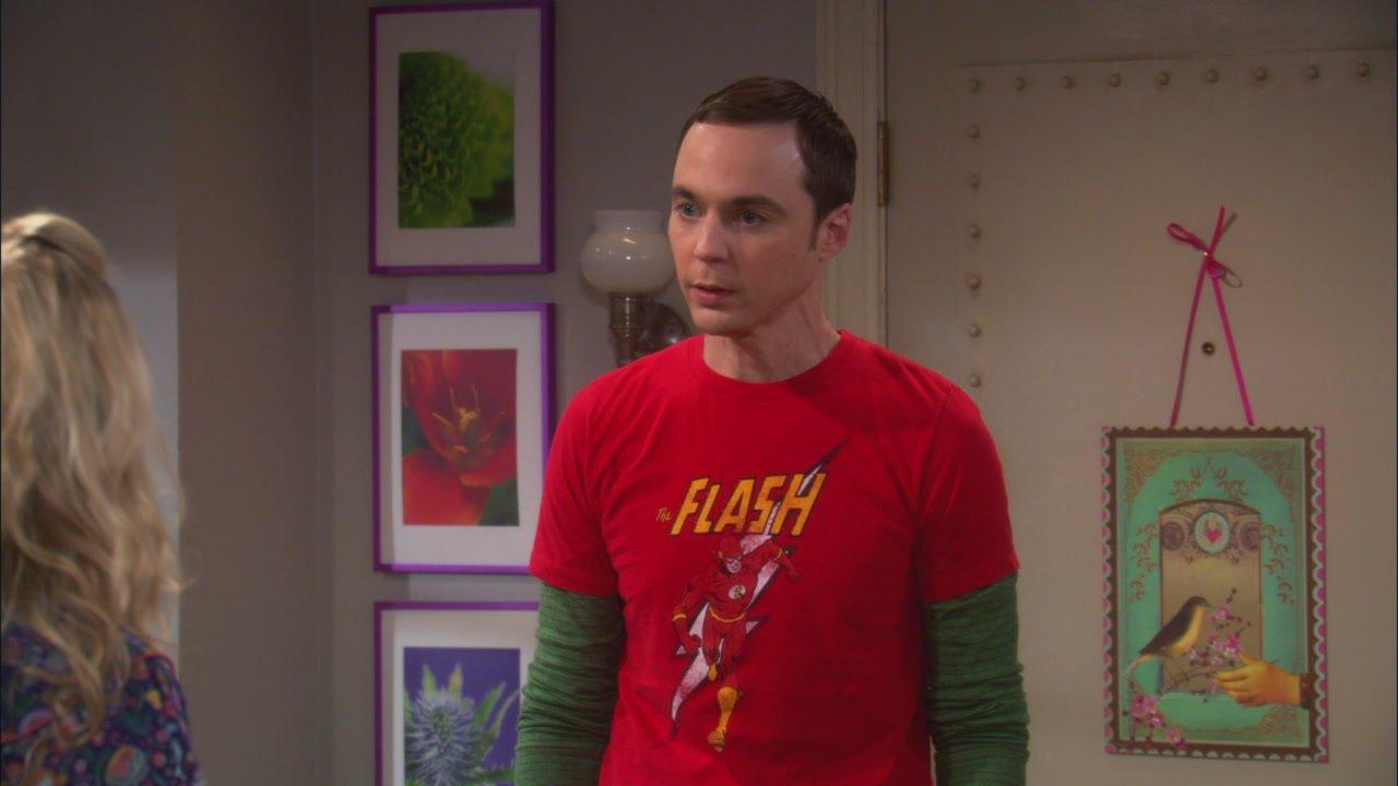 S4 Ep14 - The Big Bang Theory