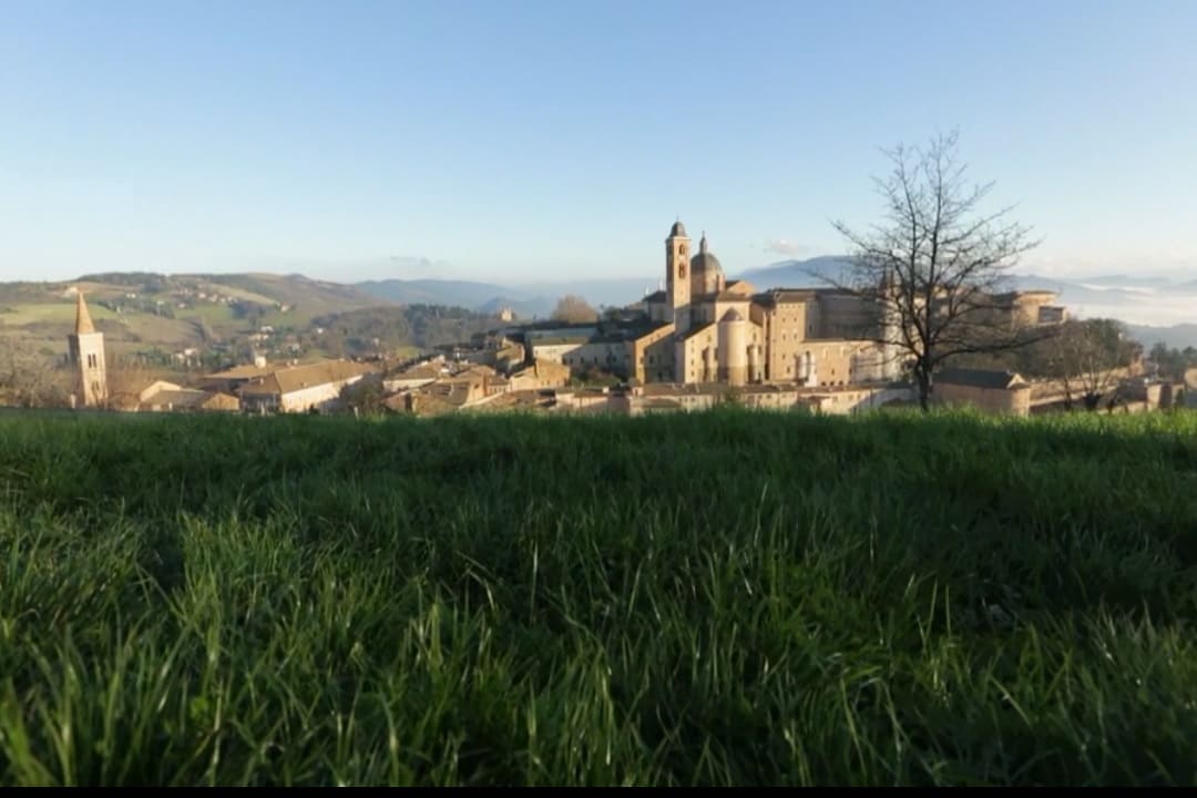 Signorie - Urbino - I Montefeltro