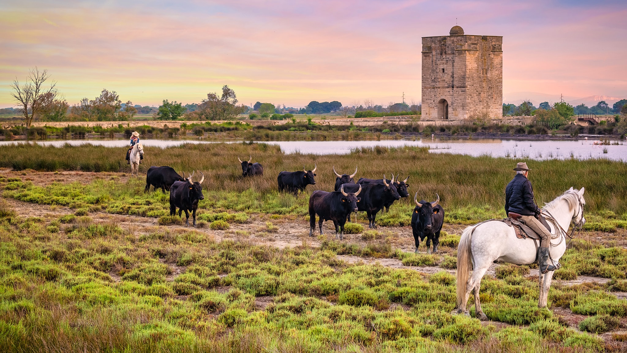 Camargue, il regno d'acqua dolce