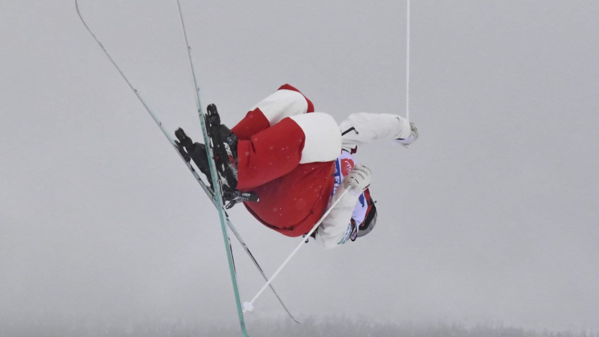 Freestyle. Coppa del Mondo Bakuriani: Dual Moguls