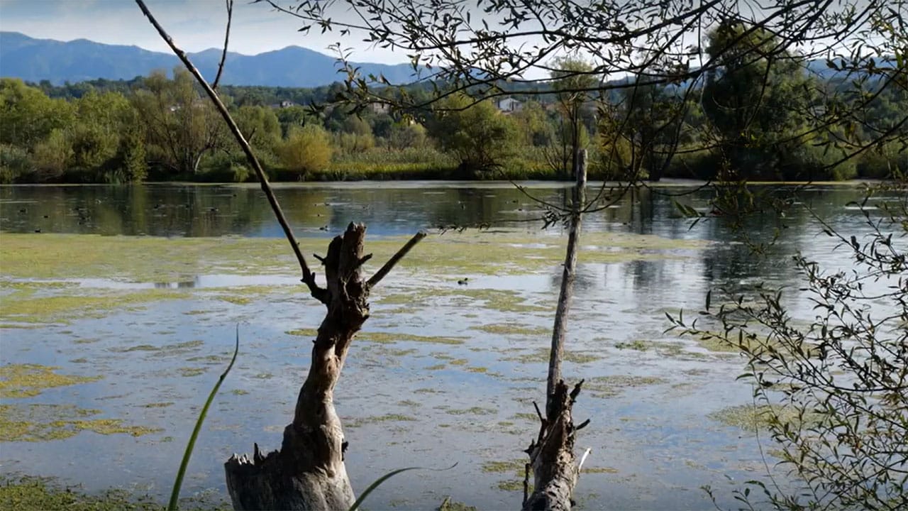 Wild Italy - S7E1 - L'antropocene, alla ricerca di un nuovo equilibrio