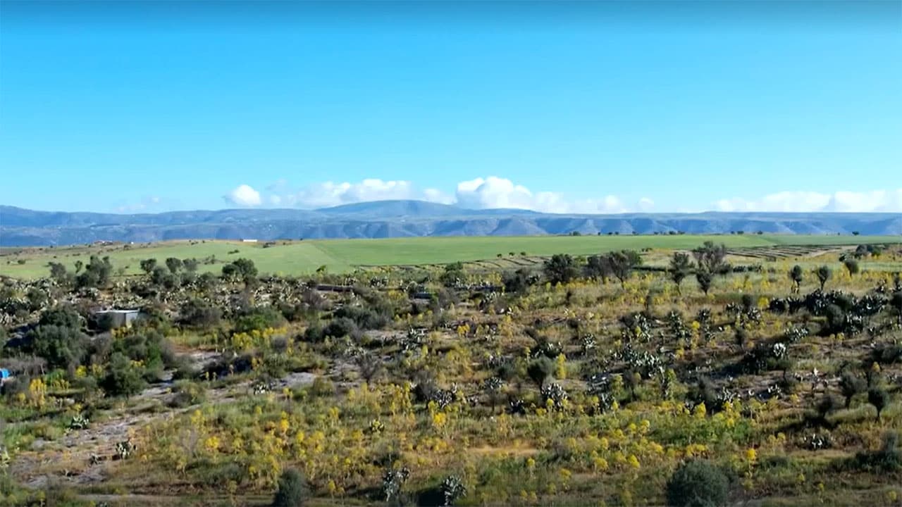 Wild Italy - S7E2 - L'antropocene, le ultime steppe