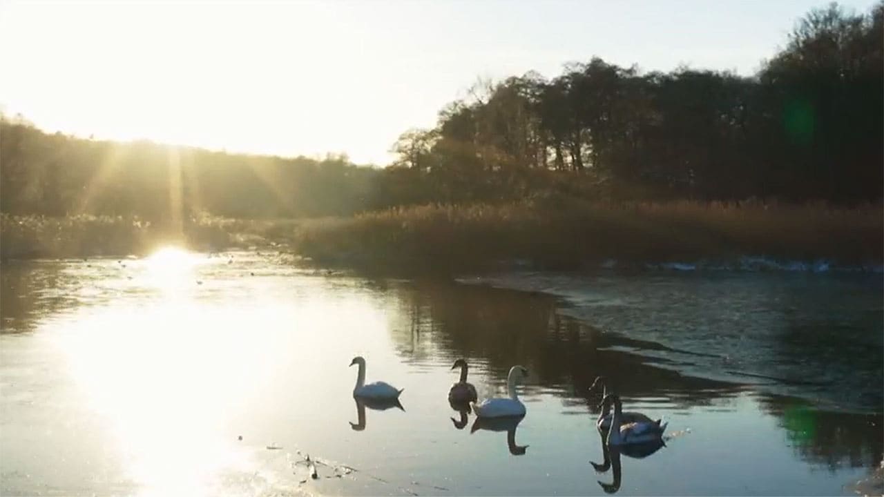 Meraviglie naturali della Danimarca - S1E4 - Il lago e il fiume