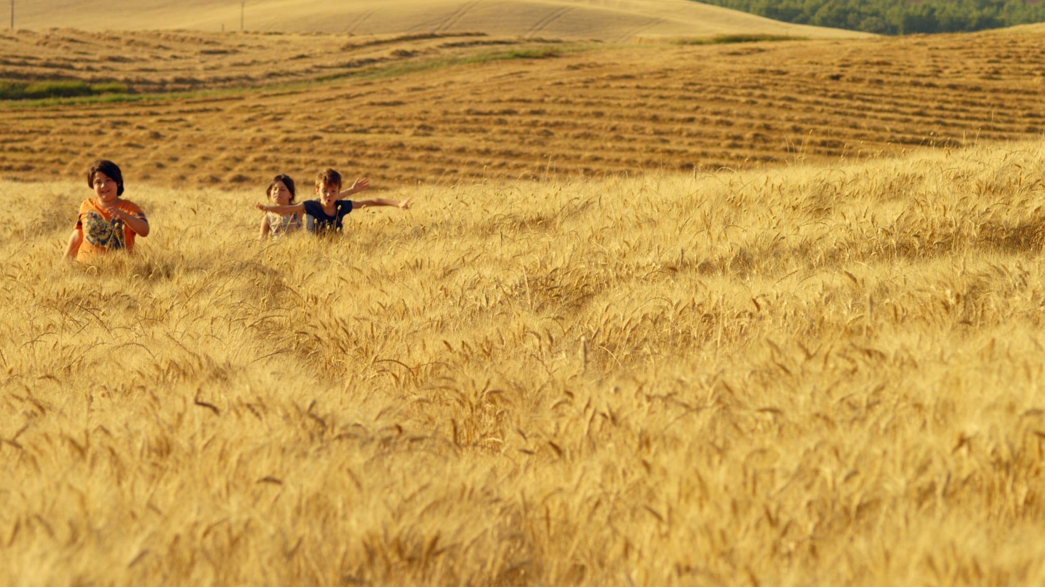 Mare di grano