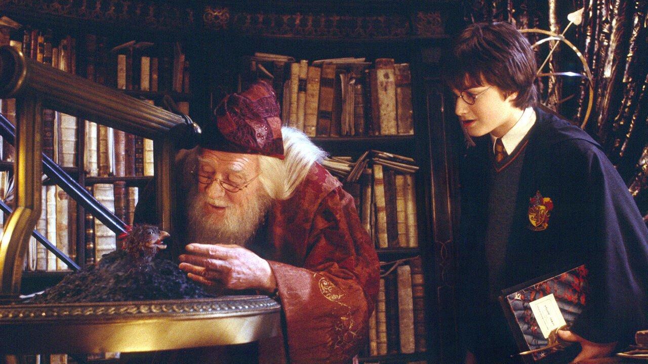 Harry Potter e la camera dei segreti