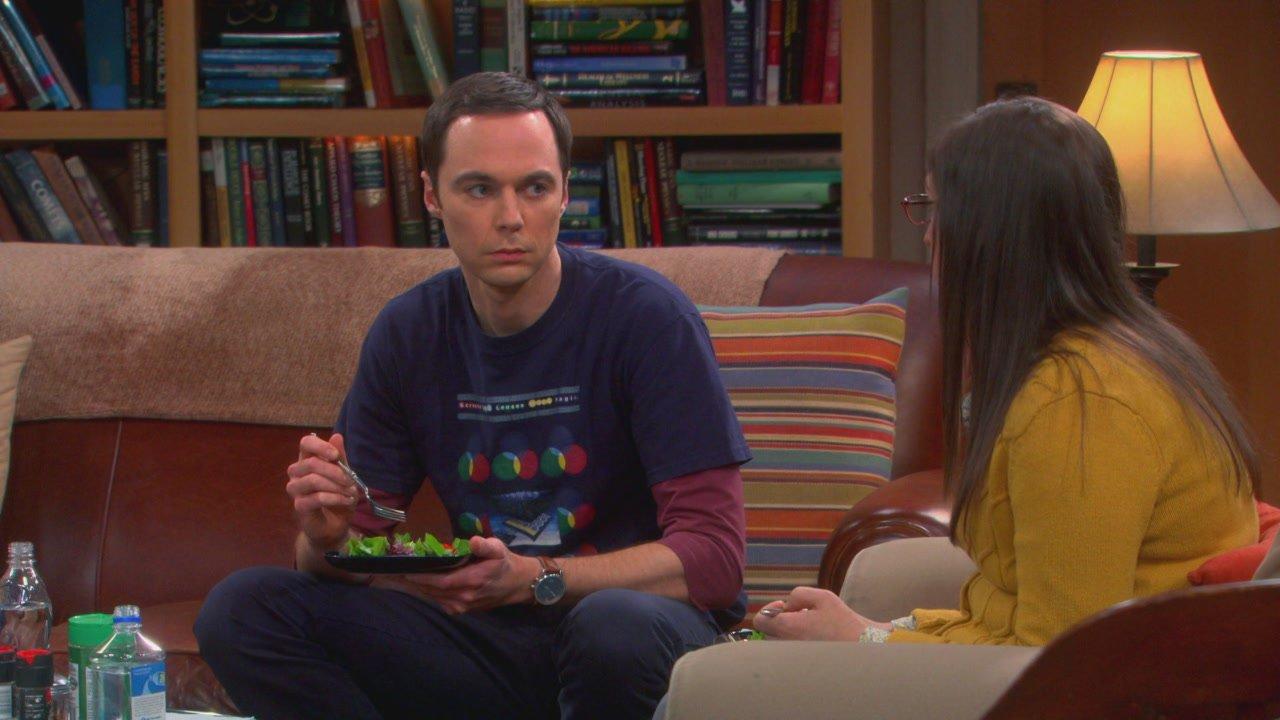 S6 Ep20 - The Big Bang Theory