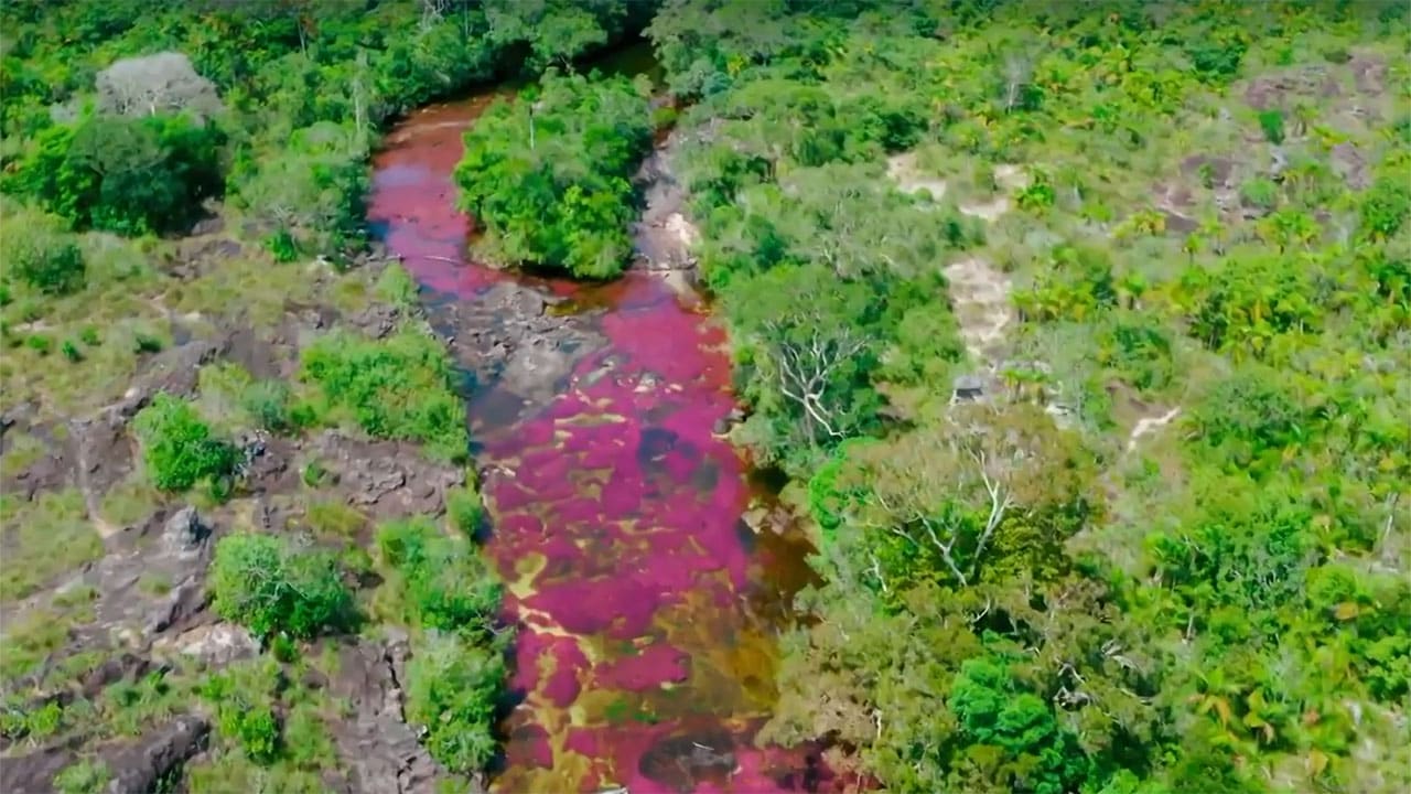 Paradisi da salvare - S1E3 Il Caño Cristales