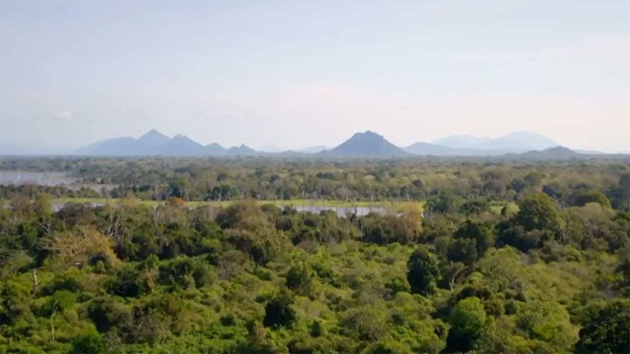 Paradisi da salvare - S1E8 Yala, un Eden nello Sri Lanka