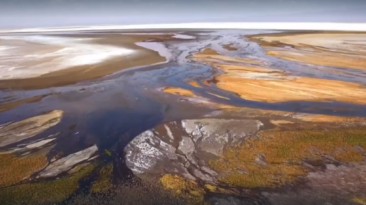 La vita segreta dei laghi - S2E5 - Il lago Natron, Tanzania