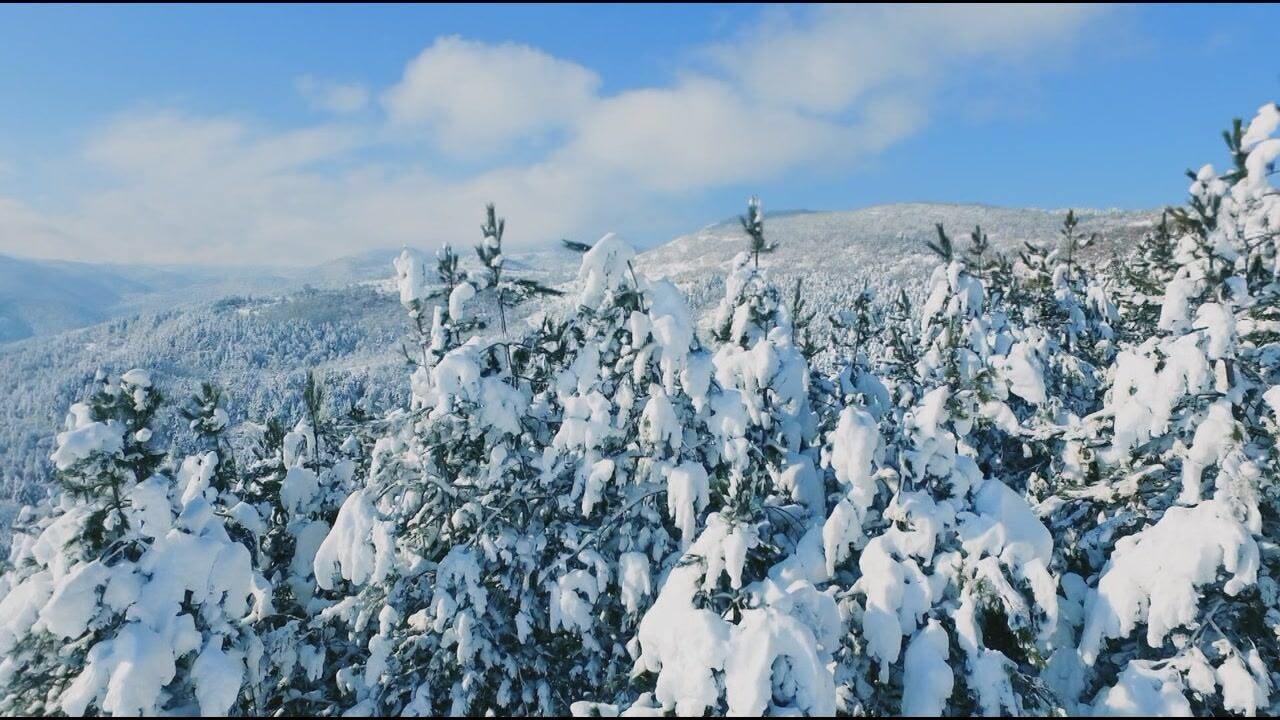 S1 Ep4 - Canada: Un anno nella natura selvaggia