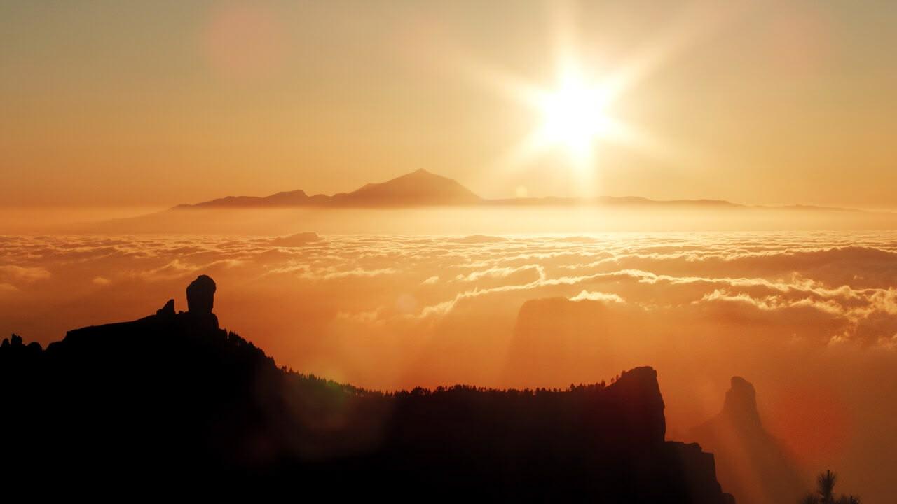 Wild Canary Islands