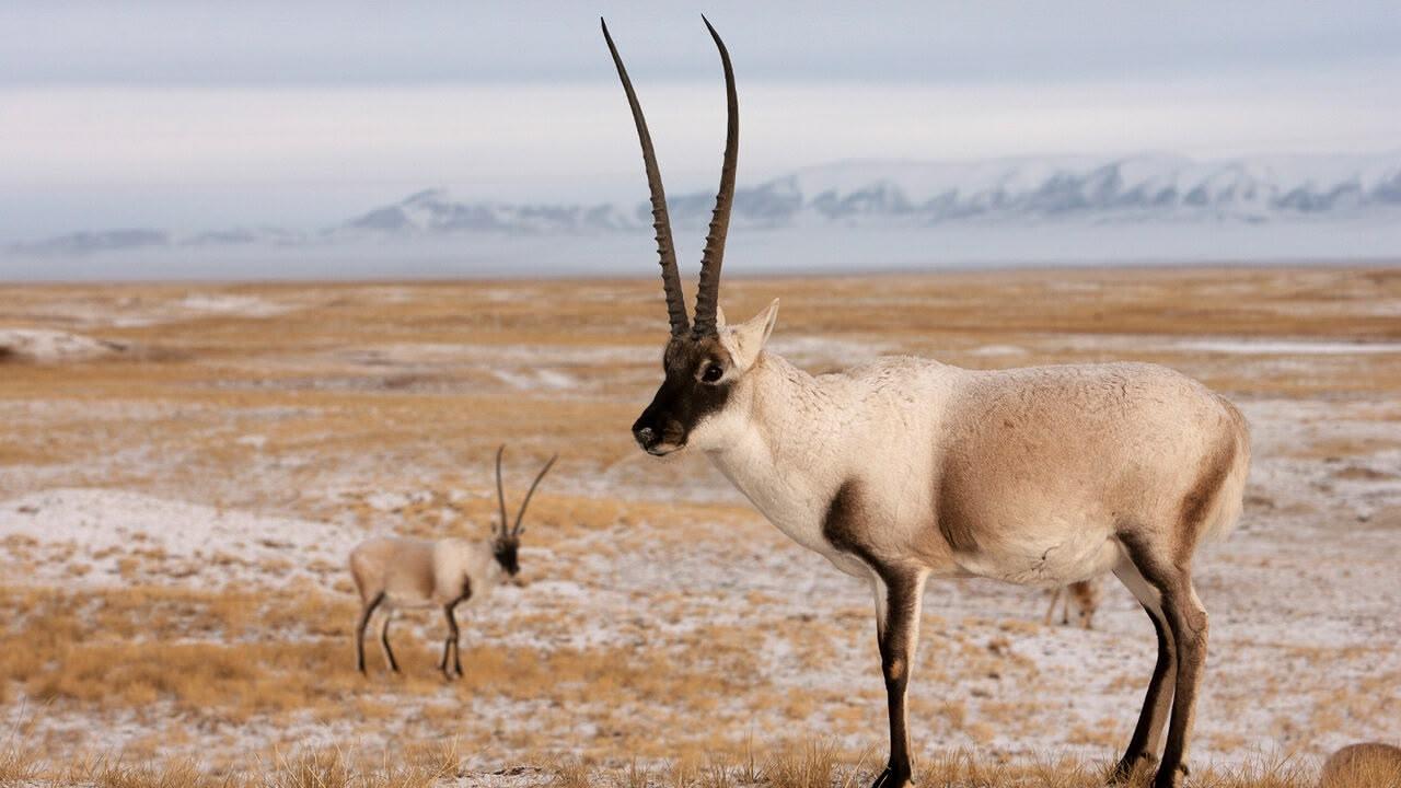 Cina - Meraviglie della natura