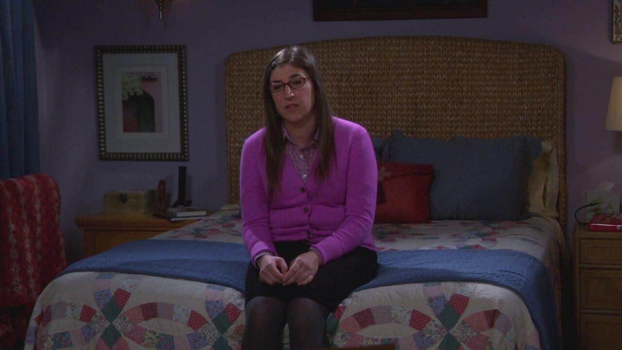 S8 Ep19 - THE BIG BANG THEORY