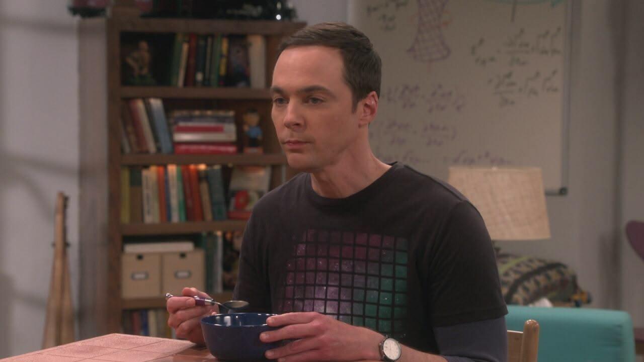 S10 Ep23 - The Big Bang Theory