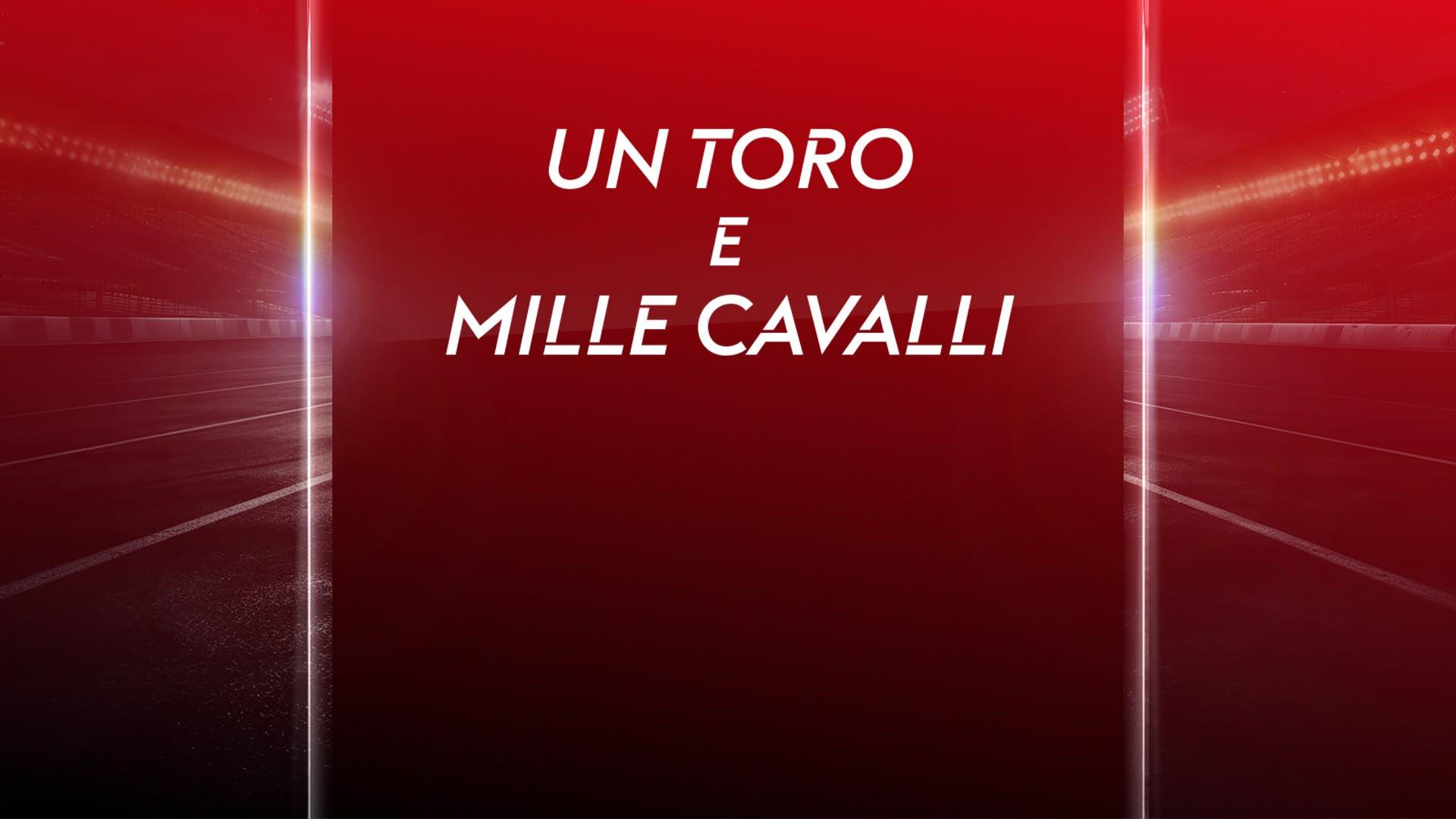 Un toro e mille cavalli