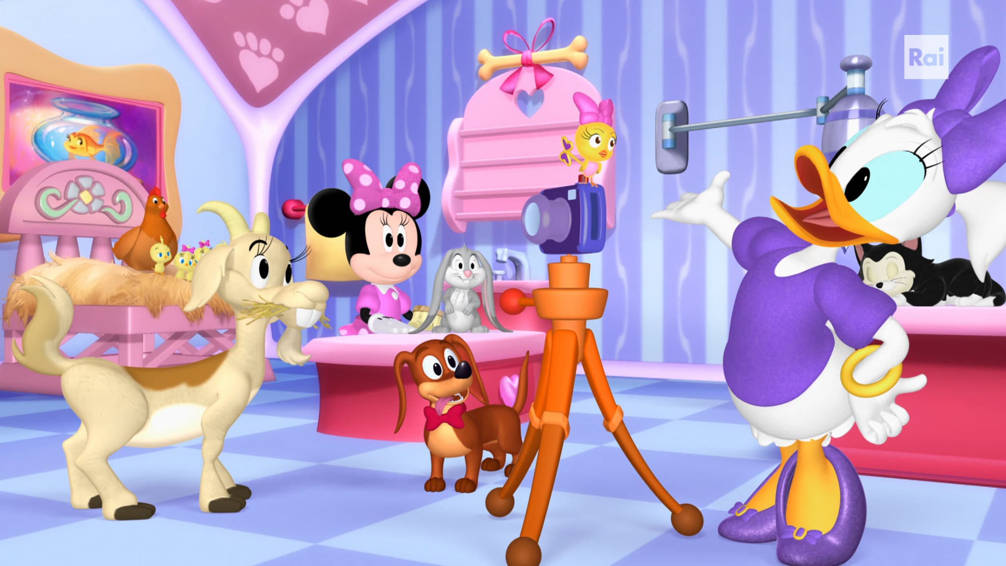 Minnie's Bow-Toons - S3E32 - Il calendario dei cuccioli