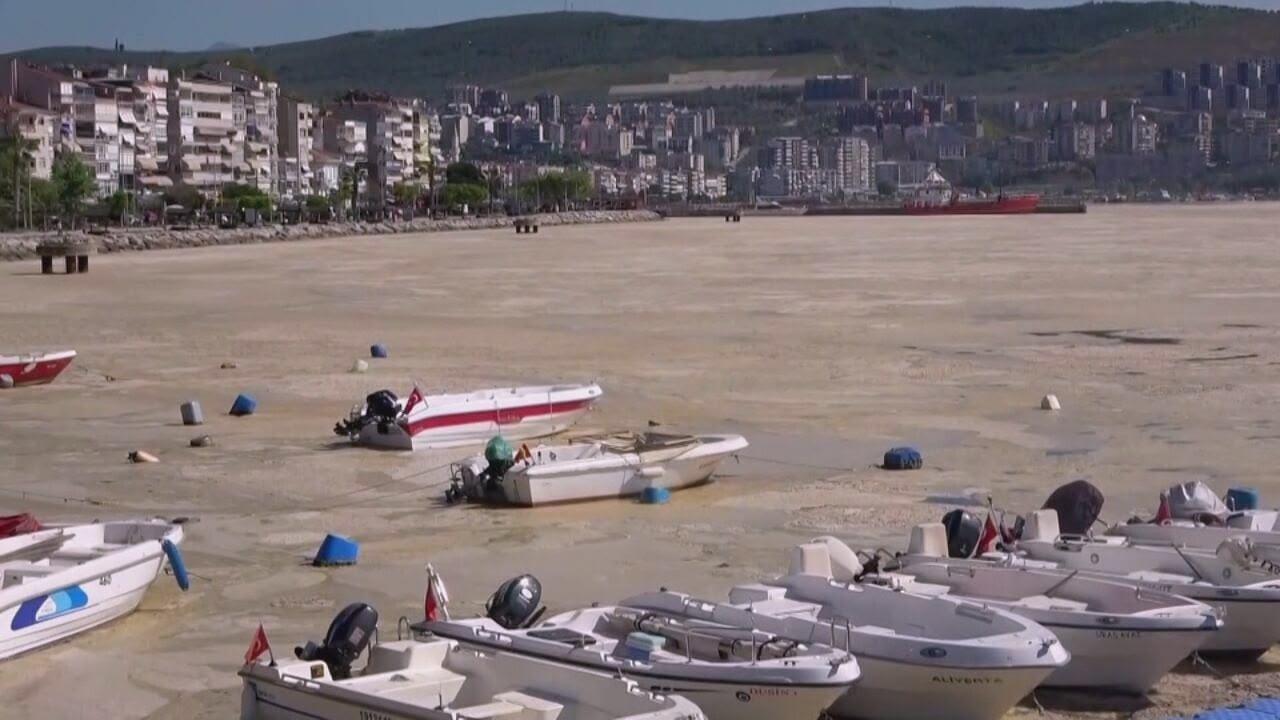 S8 Ep2 - Cose di questo mondo