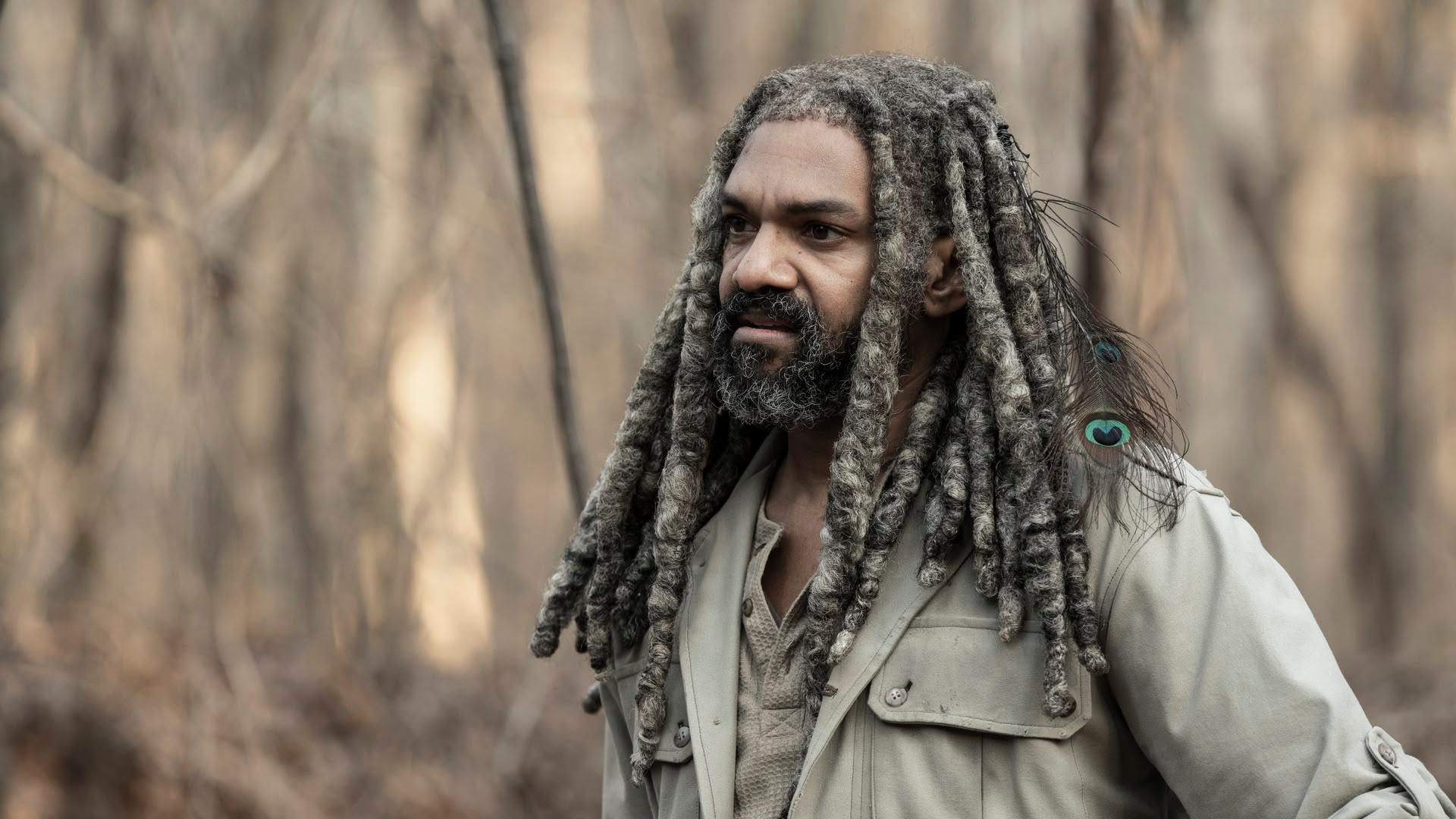 S11 Ep22 - The Walking Dead