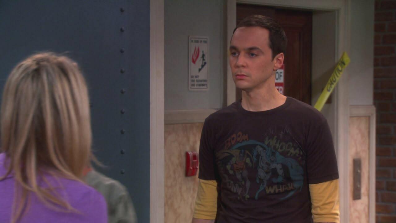 S6 Ep15 - THE BIG BANG THEORY