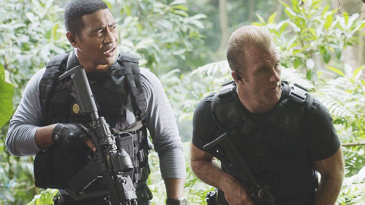 Hawaii Five-0 S9E2 - L'uomo che cadde dal cielo
