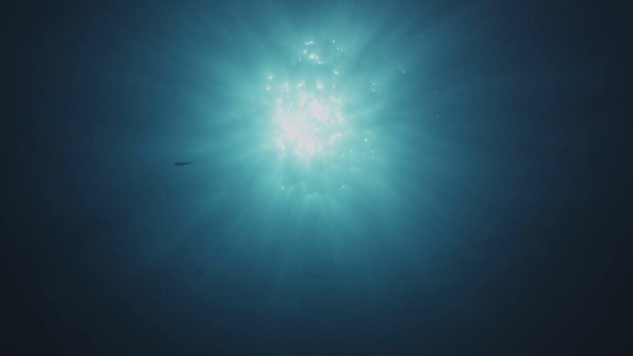 S1 Ep4 - Meraviglie del Pacifico