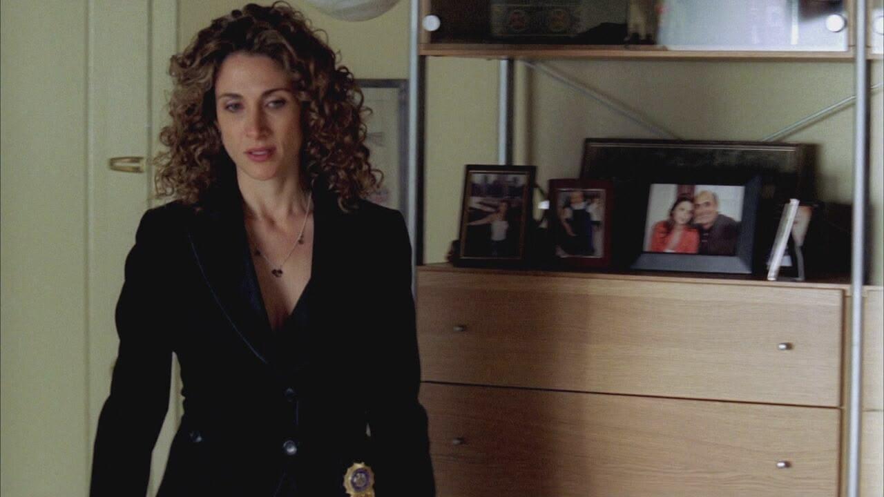S2 Ep23 - C.S.I. New York