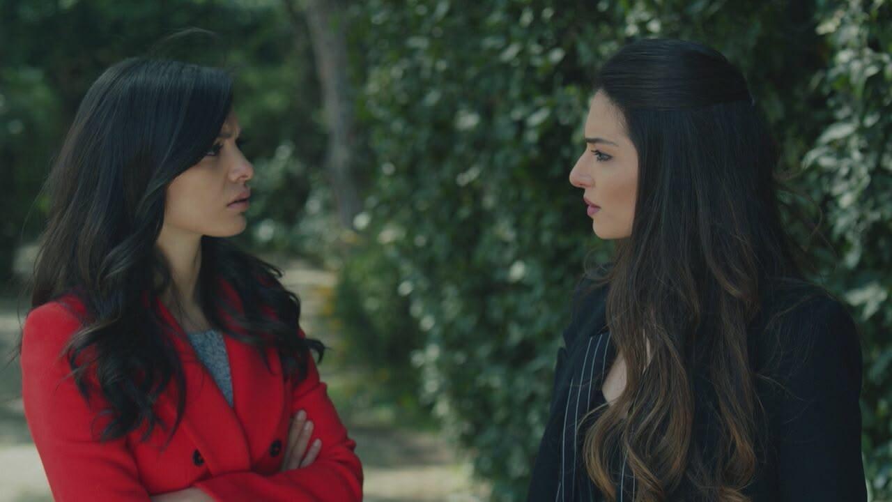 S1 Ep78 - Endless Love