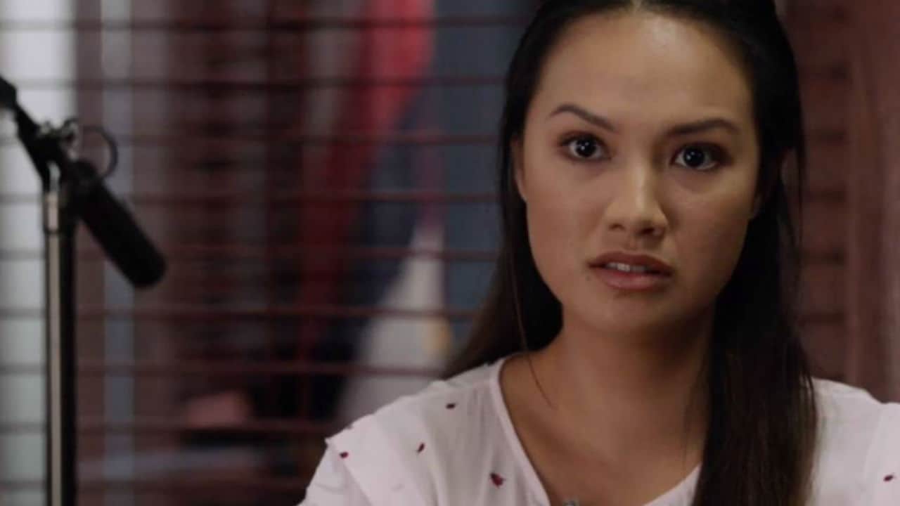 Hawaii Five-0 S9E17 - Punti deboli