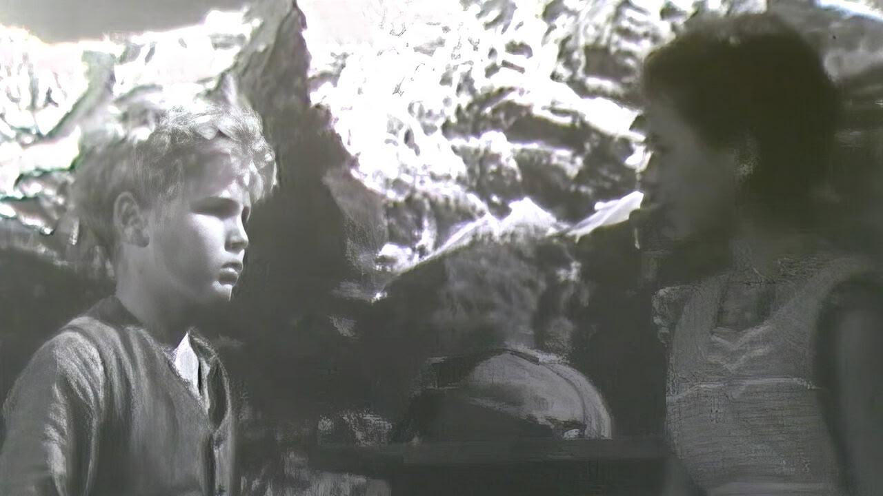 Piccoli amici