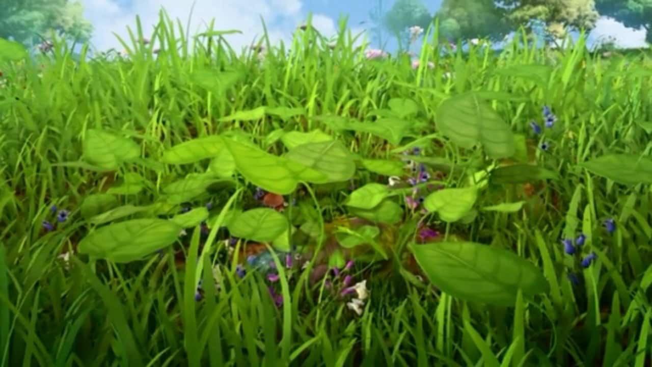 Ape Maia 3D - S2E9 - La rana rosita