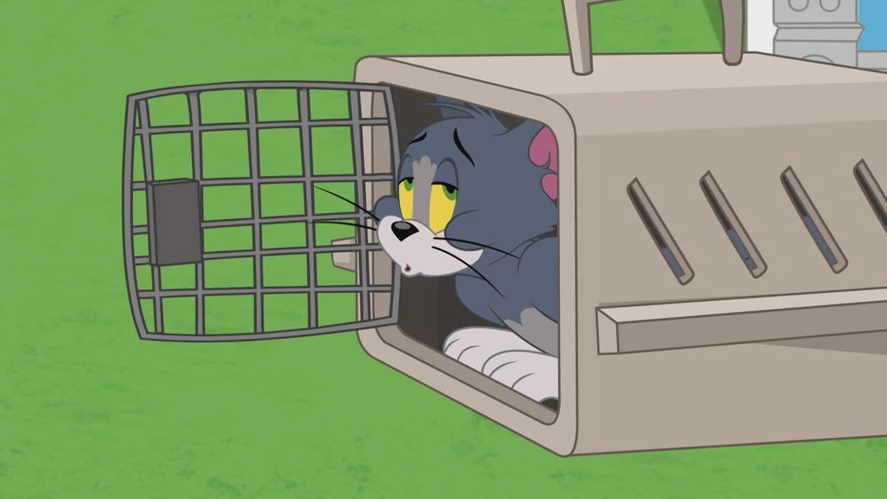 S1 Ep9 - The Tom  Jerry Show