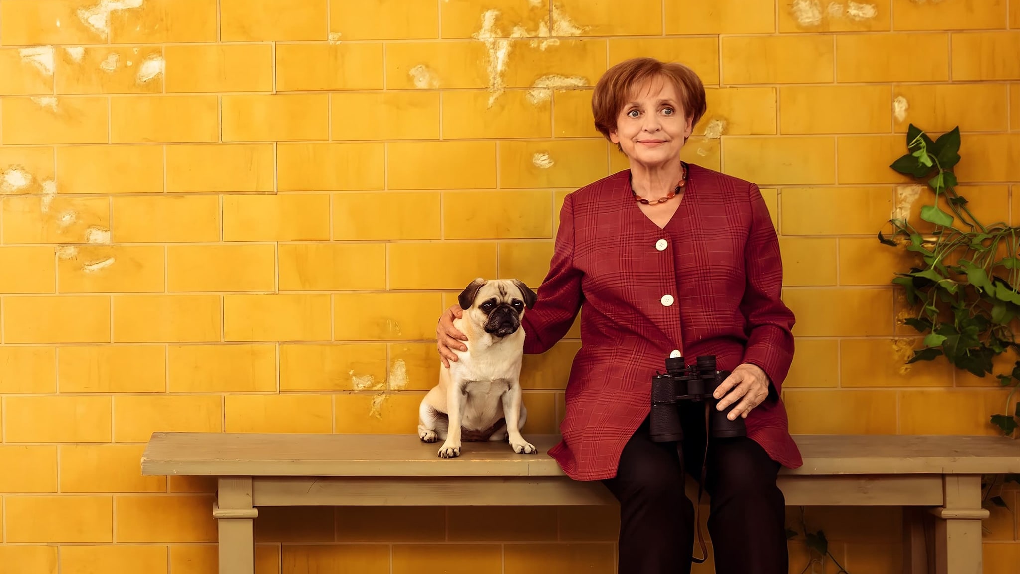 Miss Merkel - Morte al cimitero