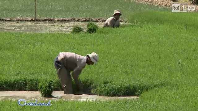 Overland 16 - Le strade degli Inca: Bolivia e Perù - Cajamarca, la fine degli Inca e la capitale Lima - 27/08/2015 - Cajamarca: la fine degli Inca e la capitale Lima - 27/08/2015