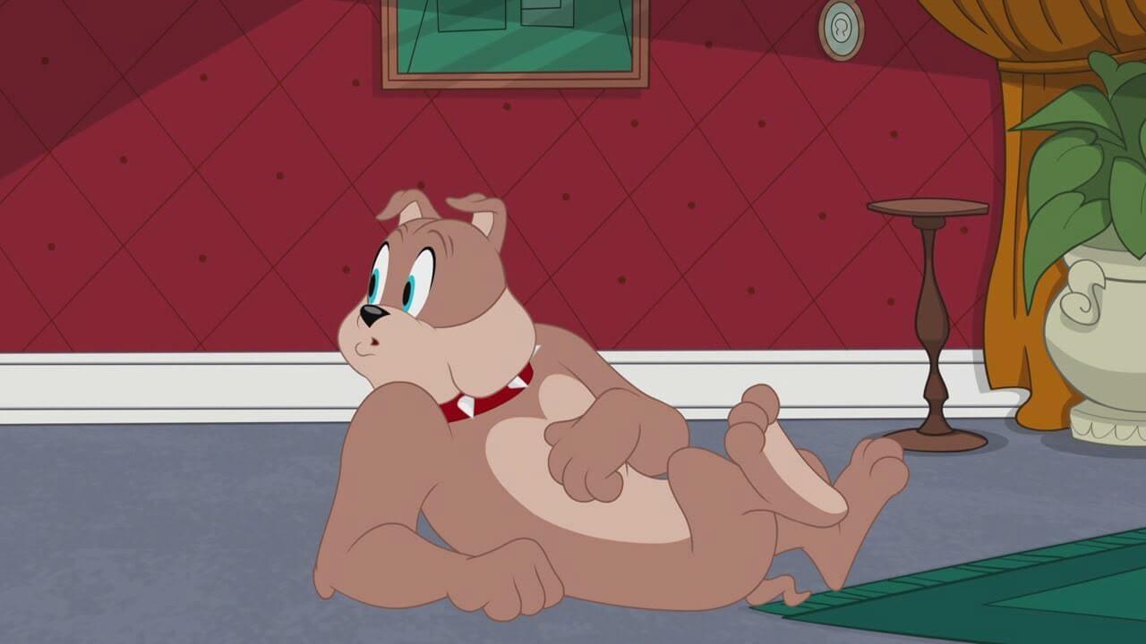 S1 Ep12 - The Tom Jerry Show